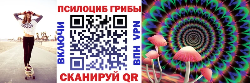 Псилоцибиновые грибы Magic Shrooms  где купить   Навашино 